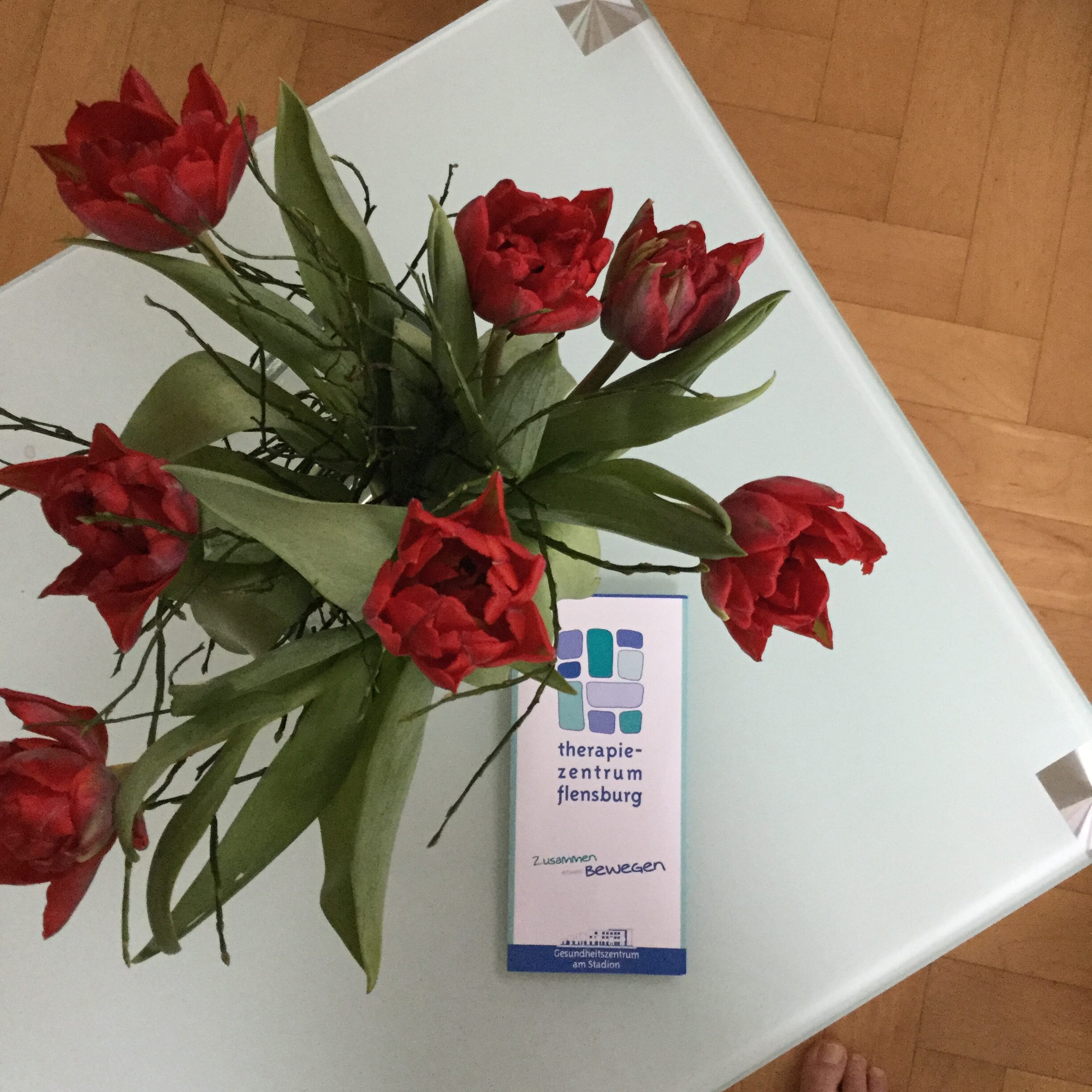 Stellenangebot Logopädie in Flensburg bei Therapeutenonline