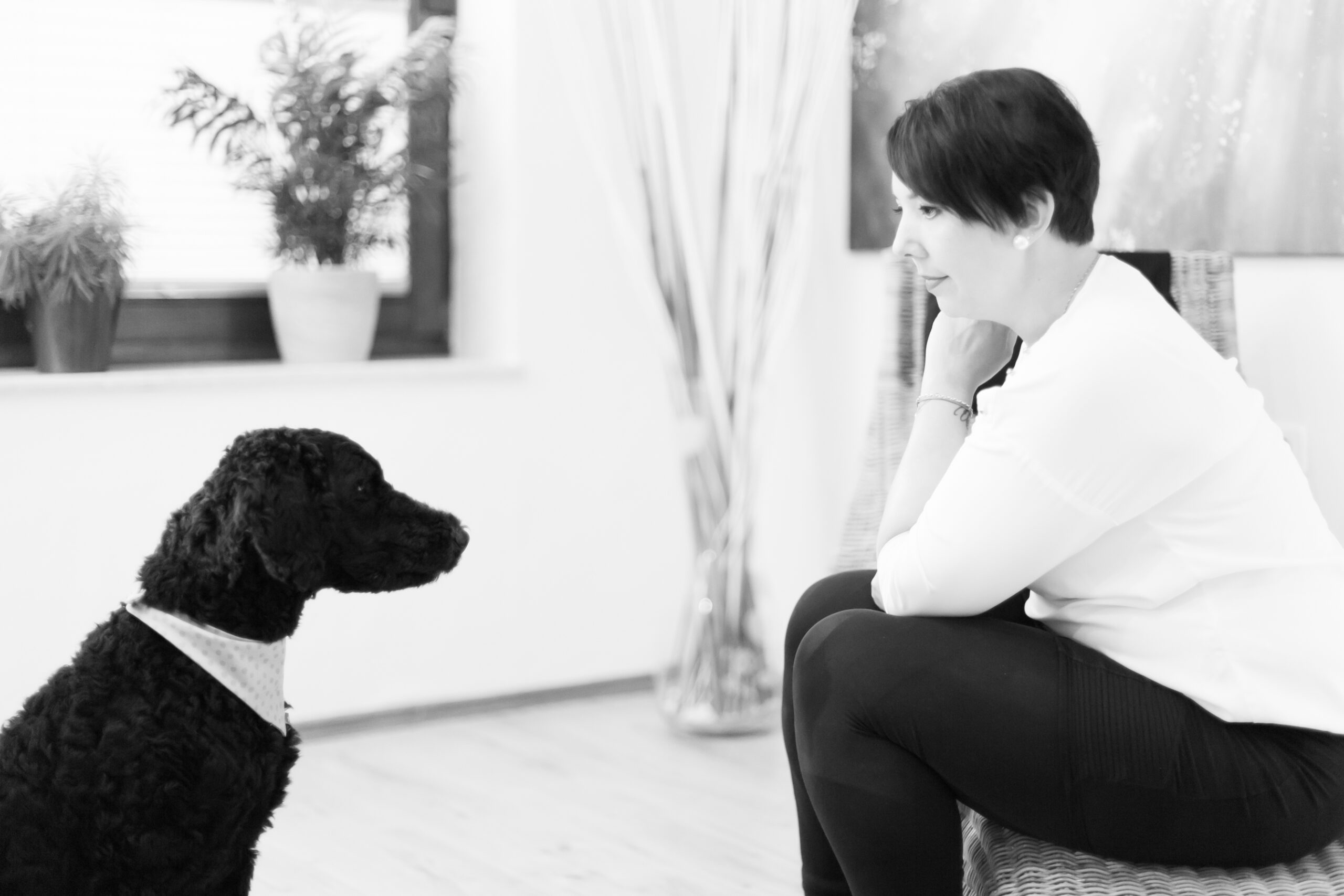 Stellenangebot Logopädie in Hameln bei Therapeutenonline