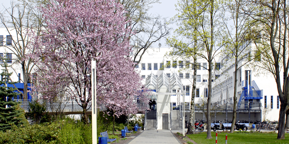 Stellenangebot Ergotherapie in Berlin bei Therapeutenonline
