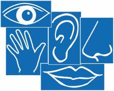 Stellenangebot Logopädie in Voerde (Niederrhein) bei Therapeutenonline
