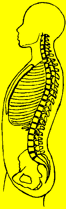 Stellenangebot Physiotherapie in Steyerberg bei Therapeutenonline