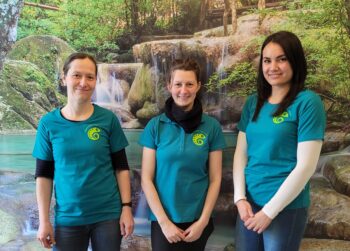 Stellenangebot Ergotherapie in Dresden bei Therapeutenonline